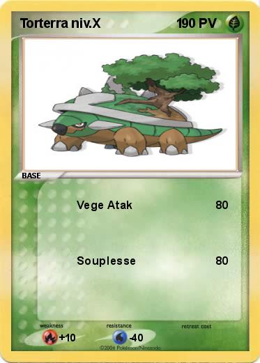 Pokemon Torterra niv.X                     1