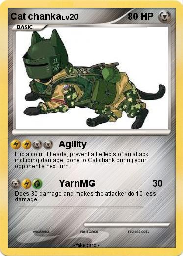 Pokemon Cat chanka