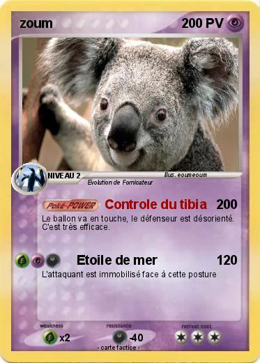 Pokemon zoum