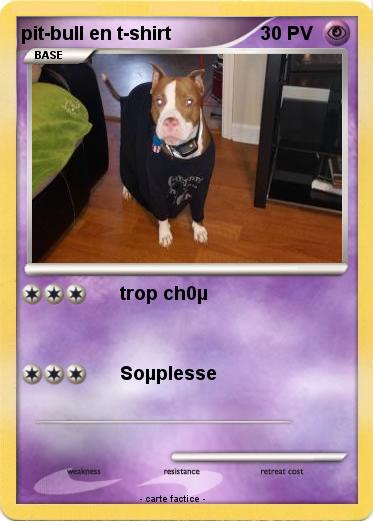 Pokemon pit-bull en t-shirt