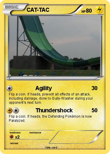 Pokemon CAT-TAC