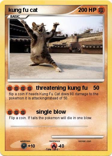 Pokemon kung fu cat