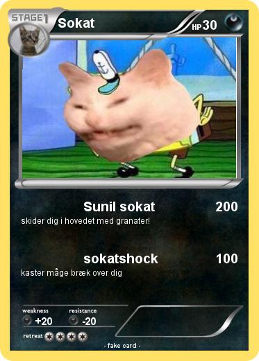 Pokemon Sokat