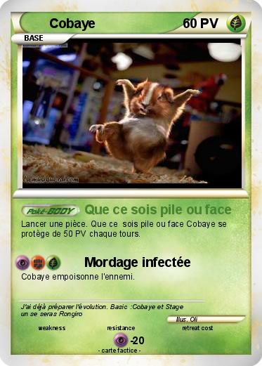 Pokemon Cobaye
