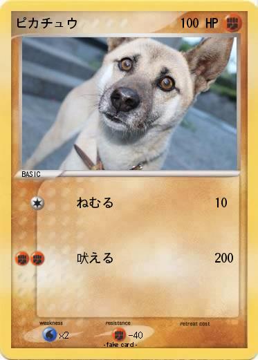 Pokemon ピカチュウ