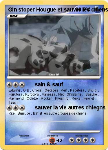 Pokemon Gin stoper Hougue et sauver les chiens