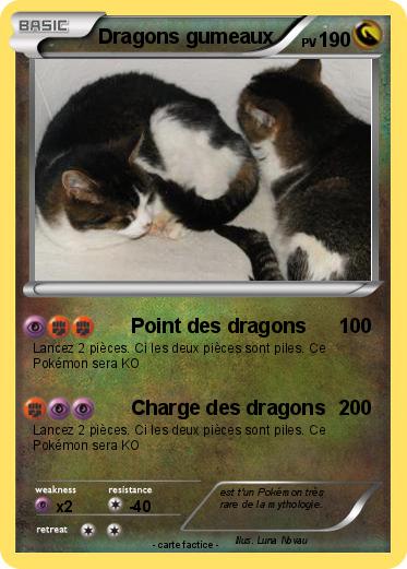 Pokemon Dragons gumeaux