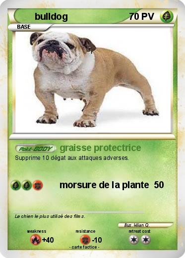 Pokemon bulldog