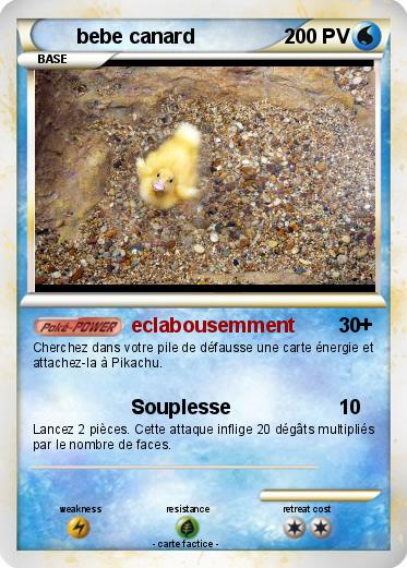 Pokemon bebe canard