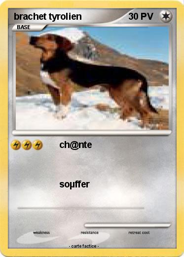 Pokemon brachet tyrolien