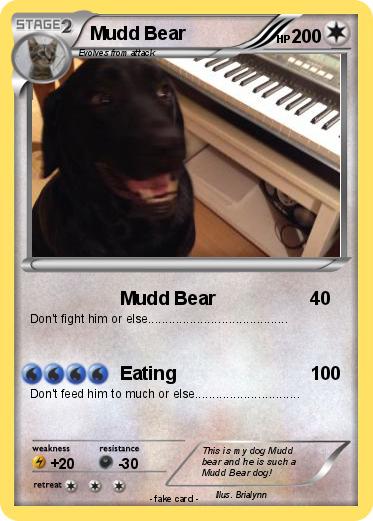 Pokemon Mudd Bear
