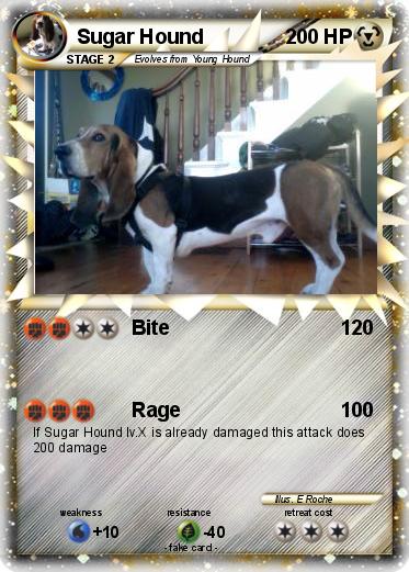 Pokemon Sugar Hound