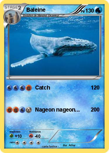 Pokemon Baleine