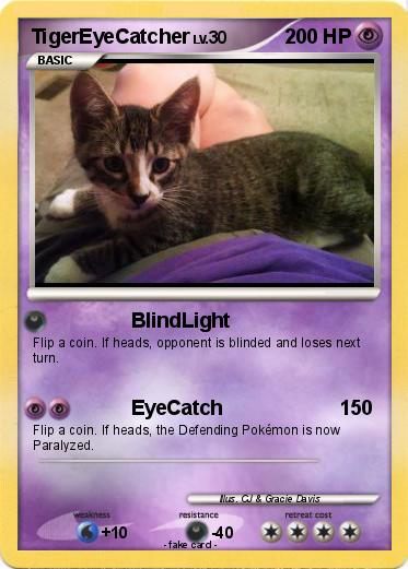 Pokemon TigerEyeCatcher