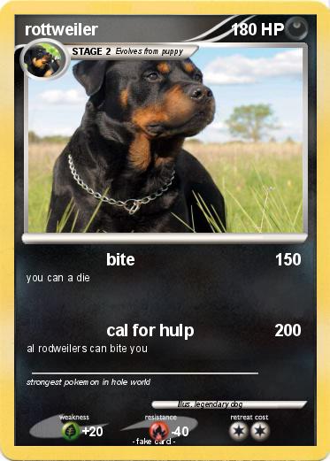 Pokemon rottweiler