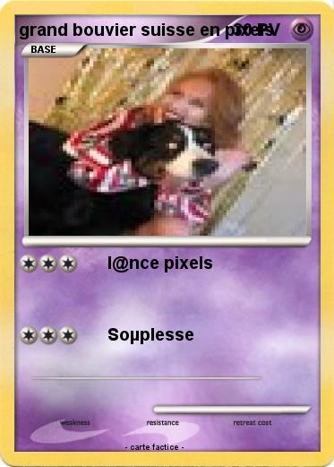 Pokemon grand bouvier suisse en pixels