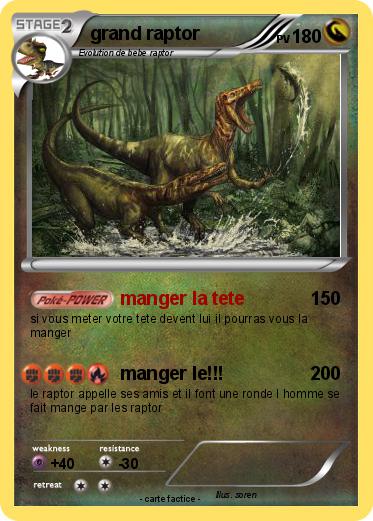 Pokemon grand raptor