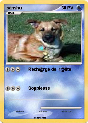 Pokemon sanshu