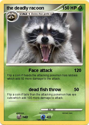 Pokemon the deadly racoon