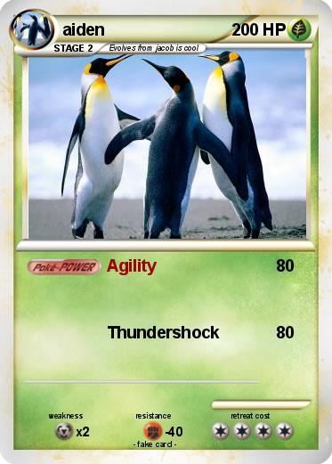 Pokemon aiden