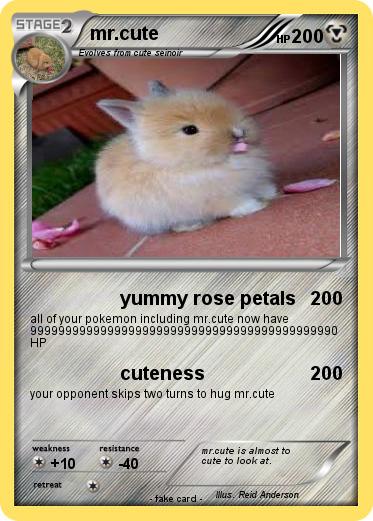 Pokemon mr.cute