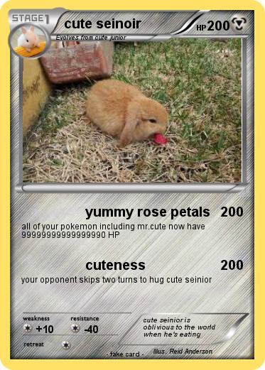 Pokemon cute seinoir