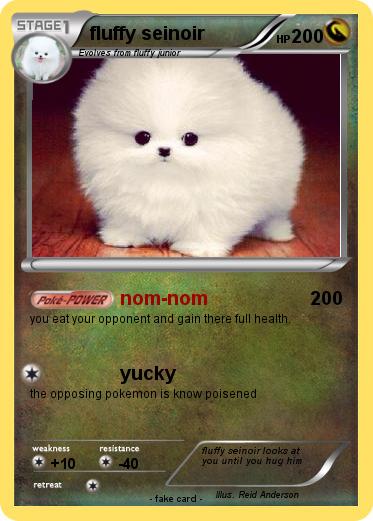 Pokemon fluffy seinoir
