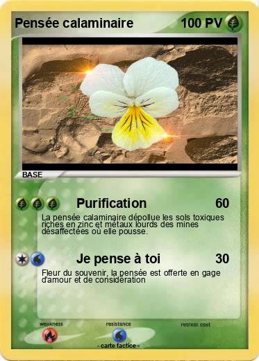 Pokemon Pensée calaminaire