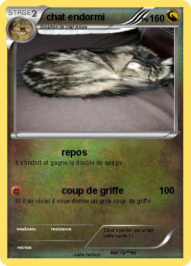 Pokemon chat endormi