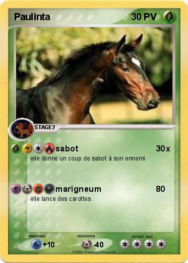 Pokemon Paulinta