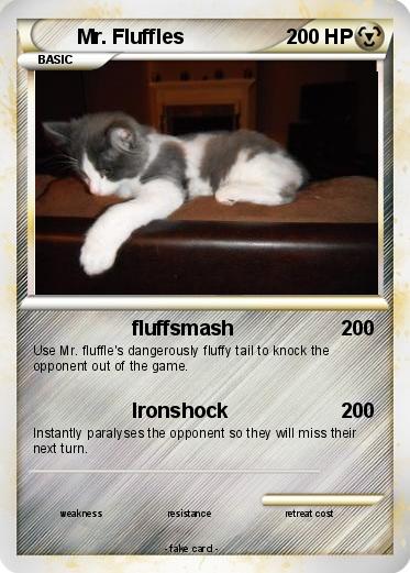 Pokemon Mr. Fluffles