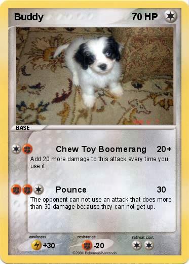 Pokemon Buddy