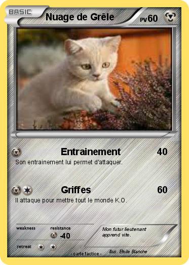 Pokemon Nuage de Grêle