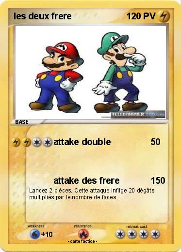 Pokemon les deux frere
