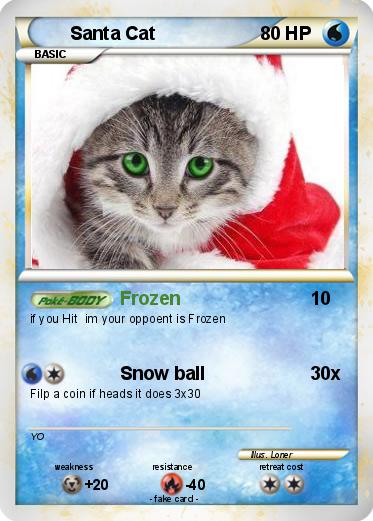 Pokemon Santa Cat