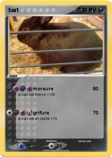 Pokemon bart