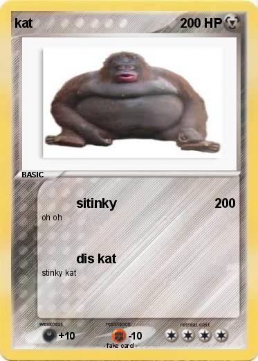 Pokemon kat