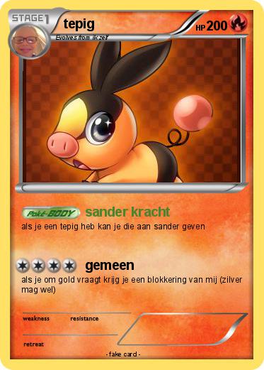 Pokemon tepig