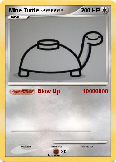 Pokemon Mine Turtle