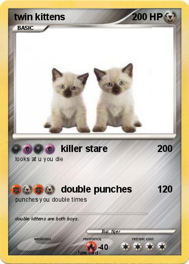 Pokemon twin kittens