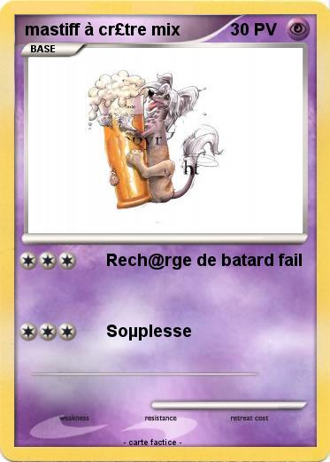 Pokemon mastiff à cr£tre mix