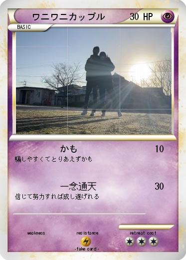 Pokemon ワニワニカップル