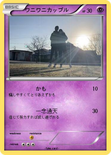 Pokemon ワニワニカップル