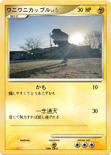 Pokemon ワニワニカップル