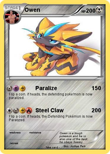 Pokemon Owen