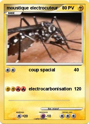 Pokemon moustique electrocuteur