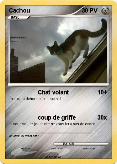 Pokemon Cachou