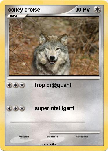 Pokemon colley croisé