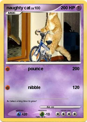 Pokemon naughty cat