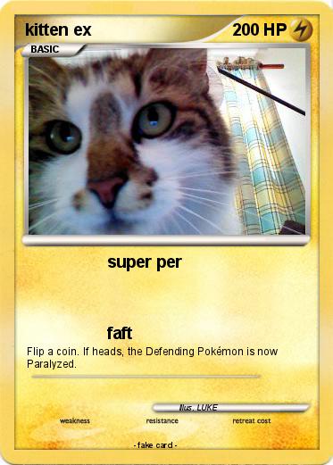 Pokemon kitten ex